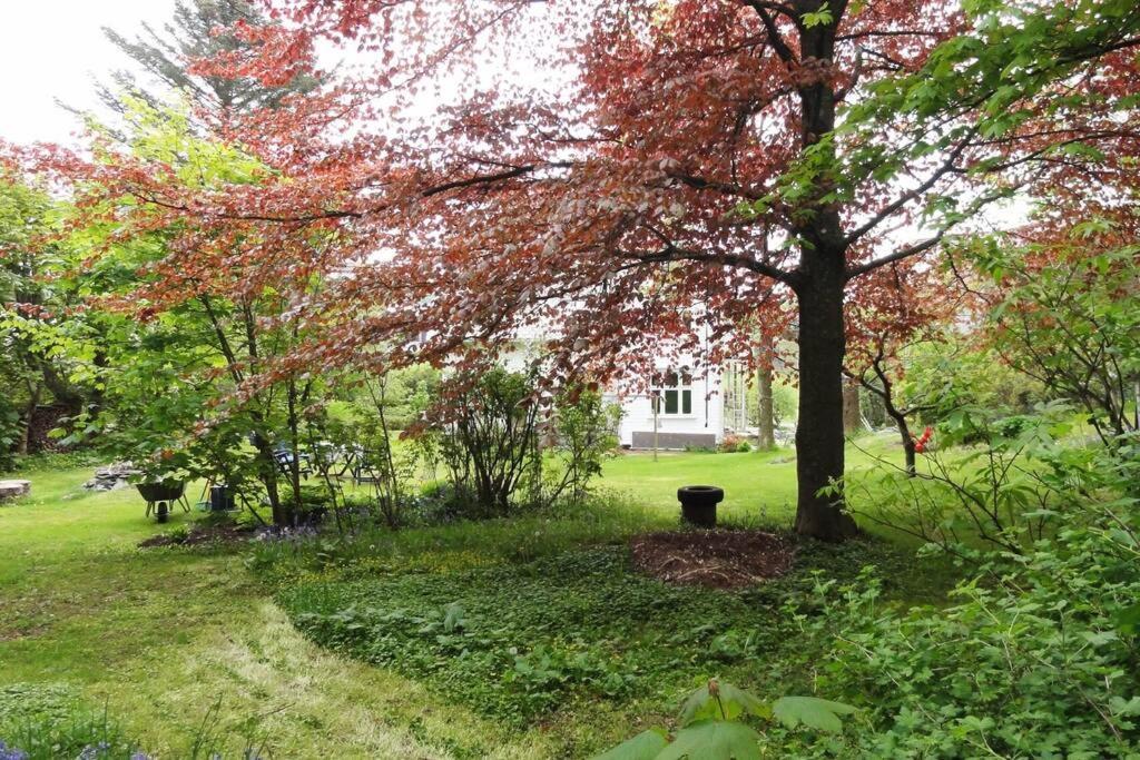 Charming Flat In Cosy Farmhouse Skudeneshavn Buitenkant foto